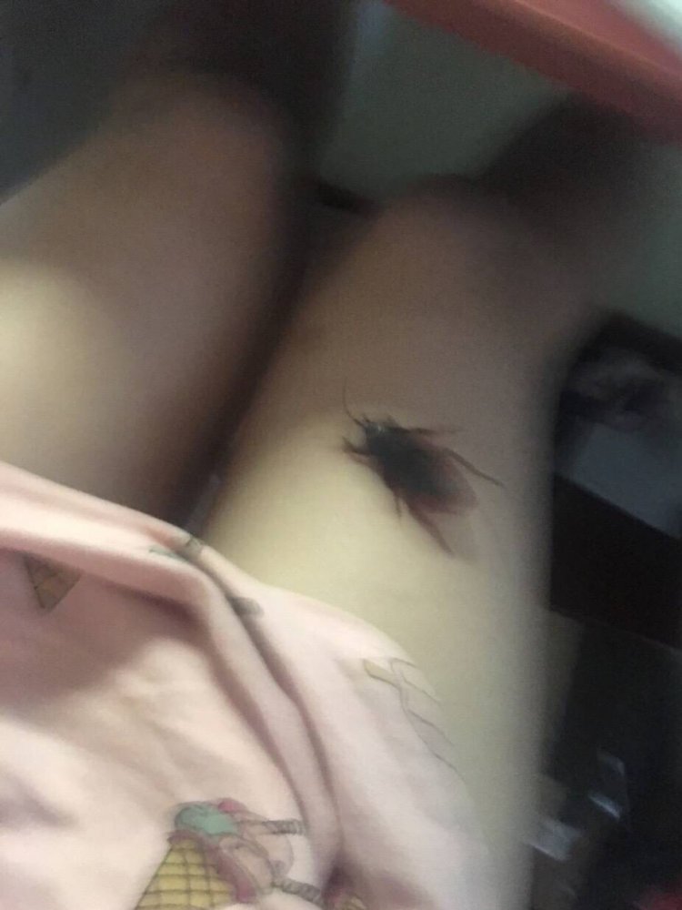 ��˵����