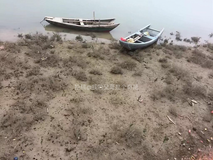 ��˵����