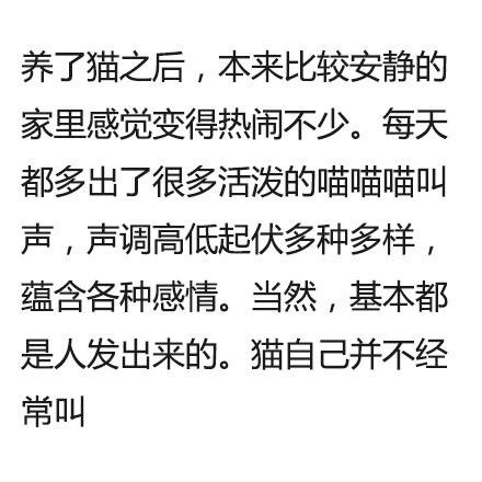 ��˵����