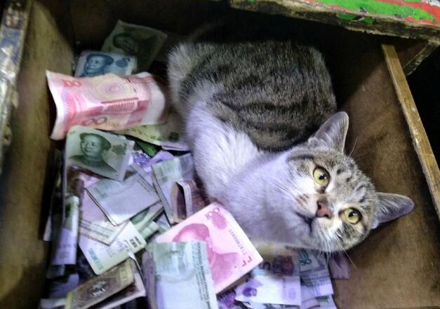 ��˵����