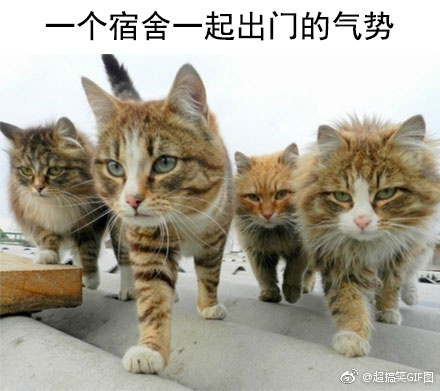 ��Щ����������������Ĺ��� ��ǹ�������