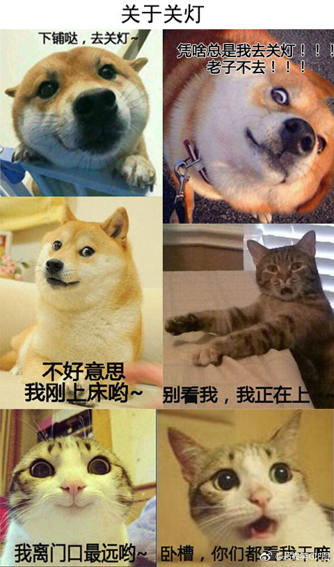 ��Щ����������������Ĺ��� ��ǹ�������