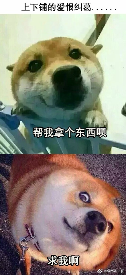 ��Щ����������������Ĺ��� ��ǹ�������