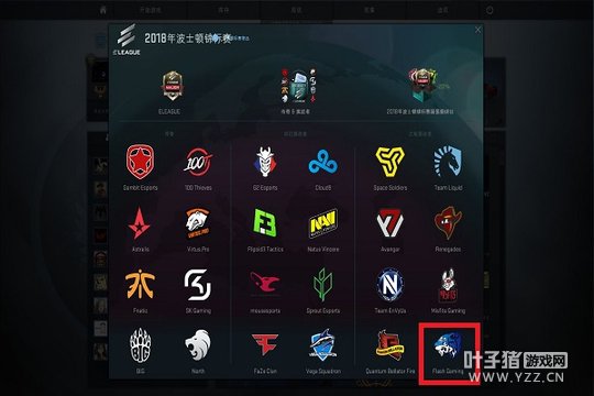 CS:GOFlashֽ TyLooֽӭ