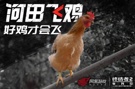 会飞的河田飞鸡