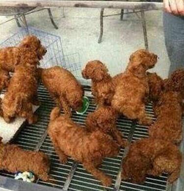 һ�����˿�������ͼ �����ڼ������̲�ס��