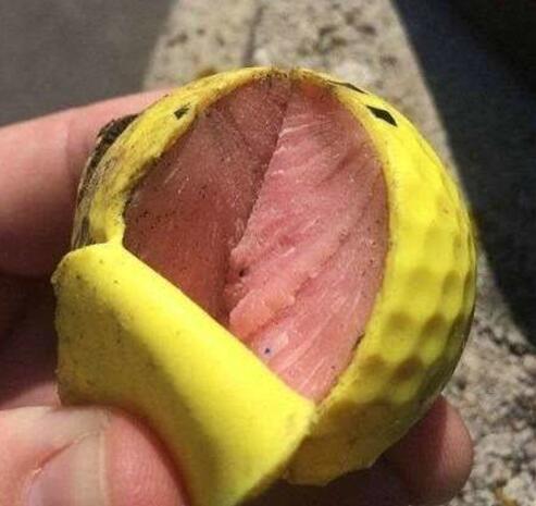 һ�����˿�������ͼ �����ڼ������̲�ס��