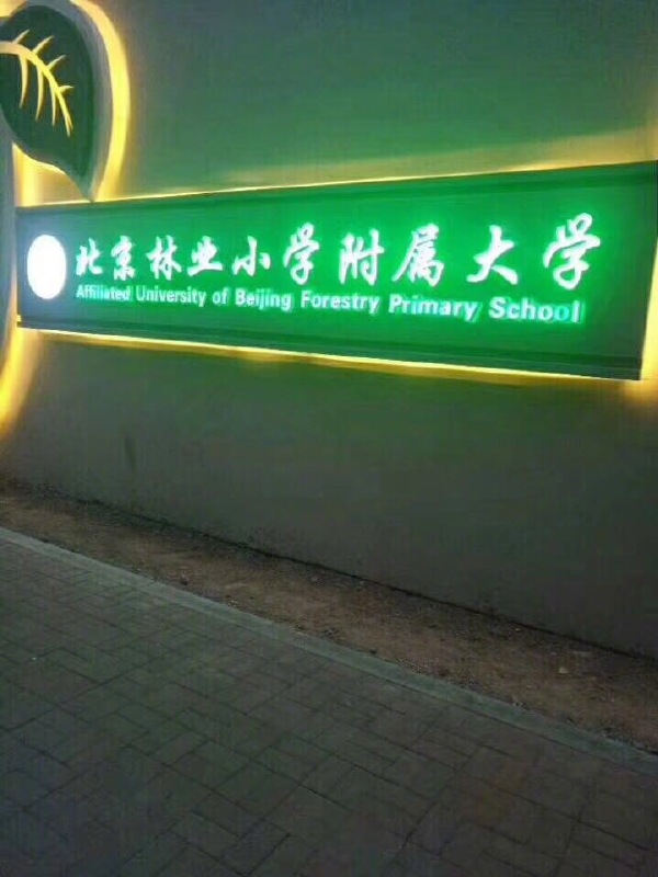 ��˵����