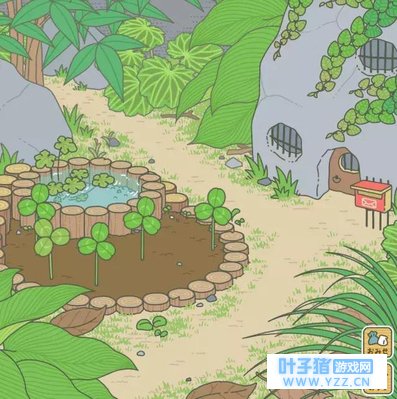 青蛙旅行不回家?我们来认认庭院里的植物吧