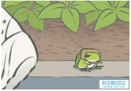 养蛙不如想家:引起人共鸣的治愈游戏