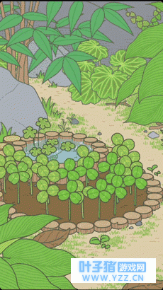 ���ĸ����˲�����ֻ�ܣ��������ܾ�������ô