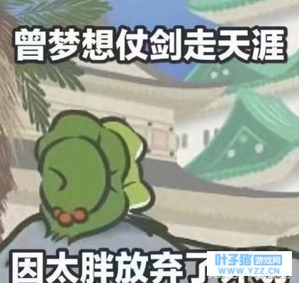 ȫ�����ܵ���������ʲô���ܲ�����Ϊ�˲���