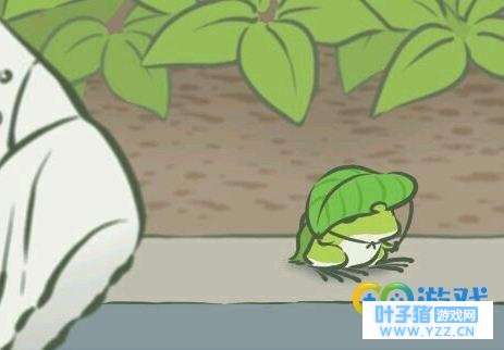 旅行青蛙怎么玩? 旅行青蛙新手攻略及包裹、