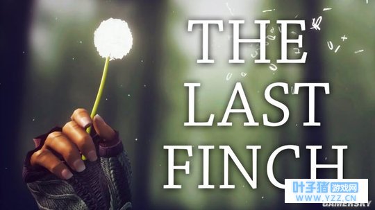 �����ǿ�