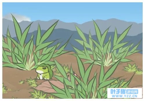 我和蛙的关系,比我和人类的关系都健康