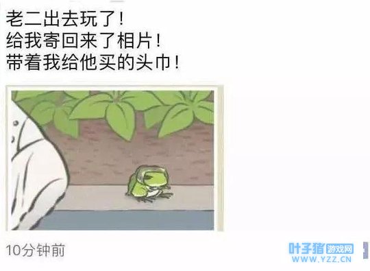 你养的男人不爱你,你养的青蛙不回家