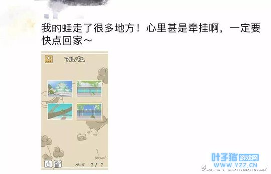 养蛙的,别等了!旅行青蛙来播州了,美得根