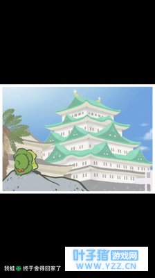 最近刷屏的养蛙人们,考虑一下