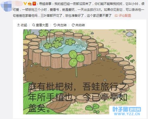《旅行青蛙》爆红网络,小熙表示养个蛙儿子