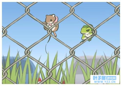 ���յ����������ܵ�ϡ�п���������������