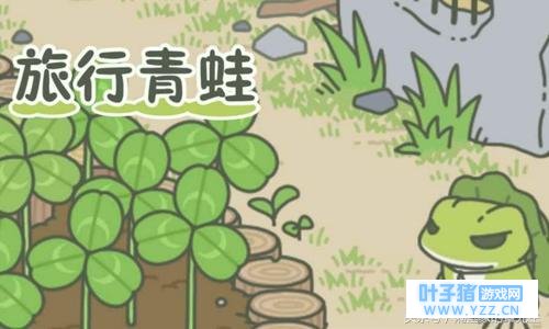 拿什么回报你那些孤独的养蛙人