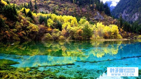 �㻹û���ʸ񣬺�������������