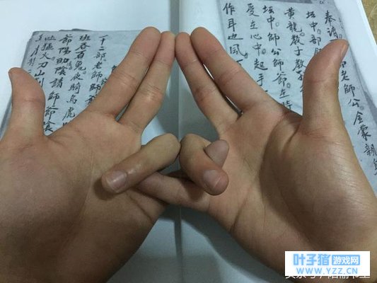 出马仙告诉你,万物有因果莫作恶 比如动物