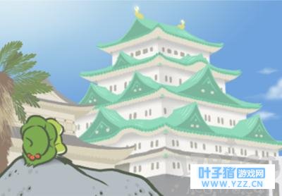 佛系90后掀起养蛙风:今天你的蛙儿子回家了