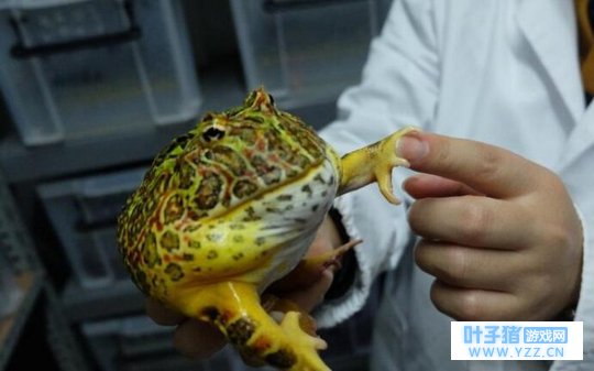 ��������������! һ����ʮ�껨����������