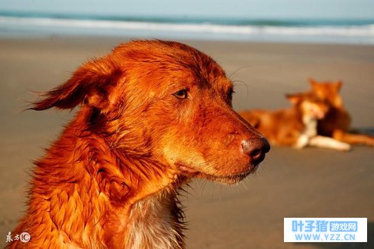 ��ҽ����������Ȯ����Ȩ����־�������ˣ���