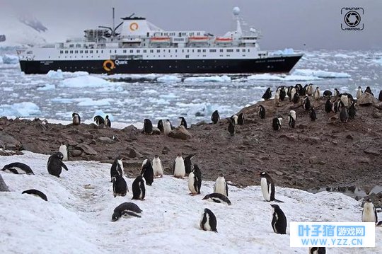 赶在《南极之恋》上映前去趟南极,带点啥东