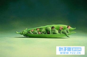 ���죬�����������һ����ֻ�з�磡