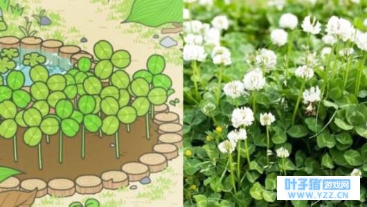 ��һ�ǡ��������ܡ���Ϸ��Ļ���, �Ϻ�����