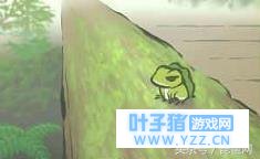 ��������û����Ҷ�ݻ��ܳ�����