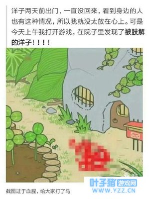 “旅行青蛙会死”登榜热搜 蛙儿子们怎么还