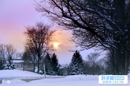 每当下雪时,我的脑海里就条件反射般蹦出这