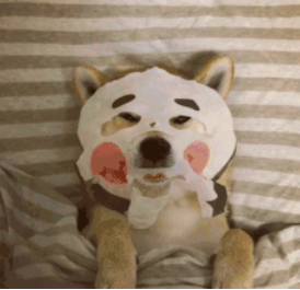 团战精神专属皮肤花落谁家?2017大数据回顾