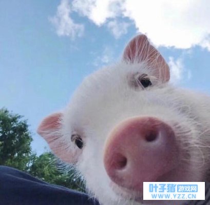 ���е����ܣ���������ȥ���ഺ