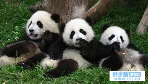 ��Ҫ��ɱ��Խ����������ǹ���