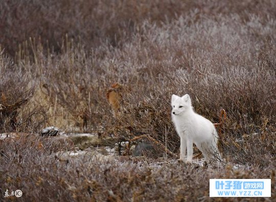 好好的一个人,怎么就疯了呢(灵异故事)