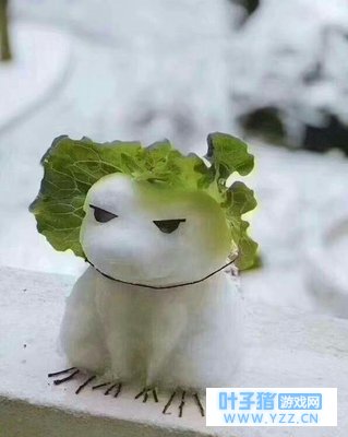 �������ܣ�����Ϊ�������Ƕ��ӣ���ʵ���Լ�