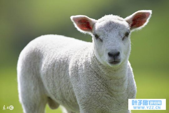 2018�ꡰ�����ѡ���˭����ˡ�����㿴����