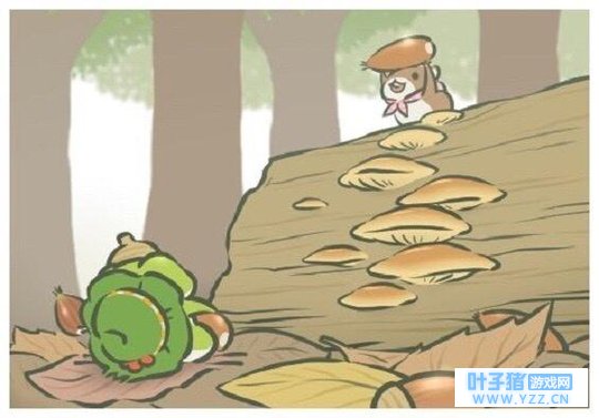 �������о���SSR����Ƭ�ϼ������ռ����˼�