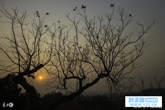 �ҺͶ����и�Լ�ᣬ��������װ�ع���������