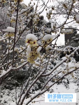 �������� ��һ���˳����ڲ�������������