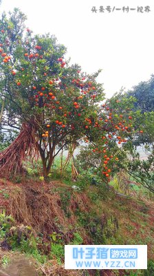 ũ���������˸е��������ʣ���ȴ����