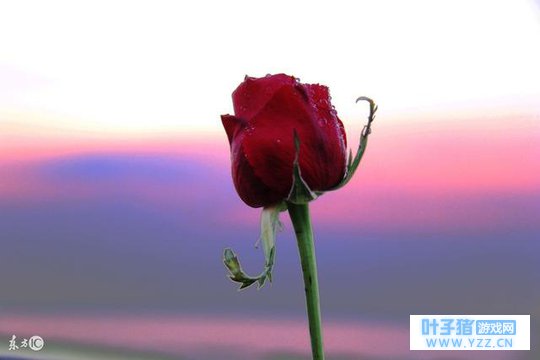 ��õ�ʱ����������㣨��Ӣ��ȥ˵���Ұ���