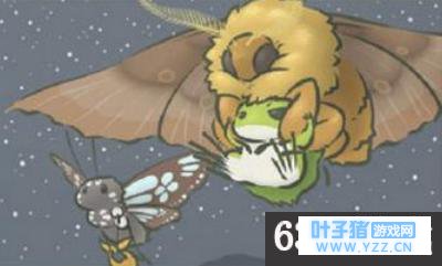 �������ܺ������첻��÷÷�Ĵ�����ô�� ��