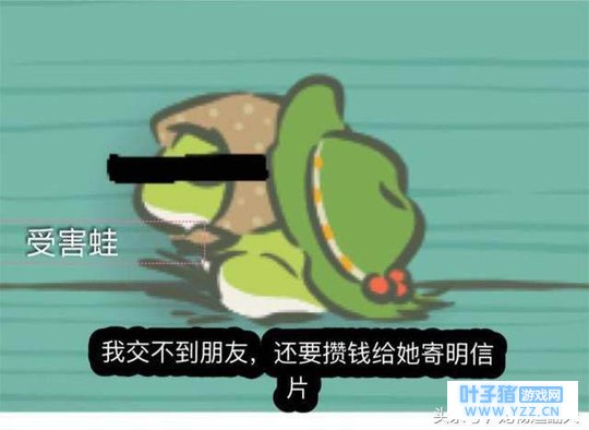 笑喷,当主人送给猫一个娃娃后……猫:崽啊