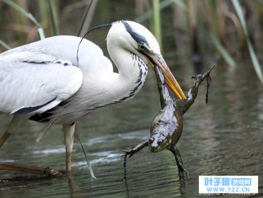 ���Ǽ����������ܵ��������� �����ձ�����